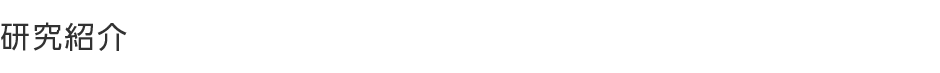 研究紹介